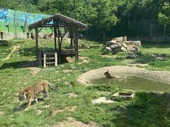 -西安秦岭野生动物园