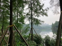 -重庆彩云湖湿地公园