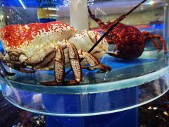 -新海渔港·胶东海鲜家常菜·家宴(奥体中心店)