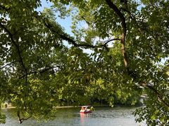 -上海共青森林公园