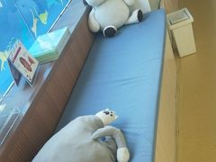 -芭比堂动物医院·犬猫全科·异宠专科(雁塔分院)