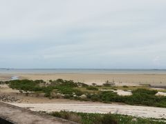 -北海金海湾红树林生态旅游区