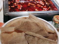 -二荆条·蜀鲜汇城市森林火锅