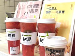 -树夏(建设路店)