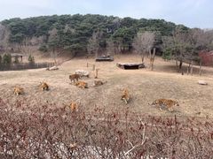 -沈阳森林动物园