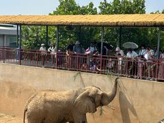 -西霞口神雕山野生动物世界
