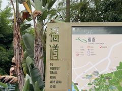 -福道