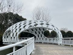 -同里国家湿地公园