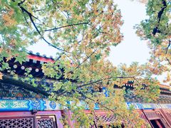 -香山公园