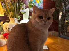 -咖法森林·咖啡  酒吧(天河店)