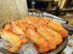 -济南喜来登酒店