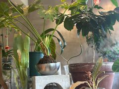 -青莯_Percher Coffee Shop(皮市街店)