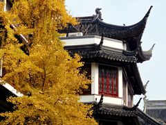 -南翔馒头店(豫园店)