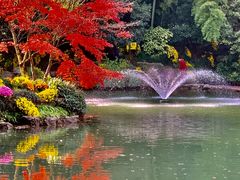 -杭州植物园