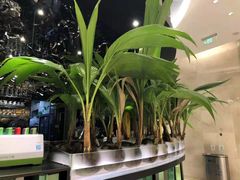 -凤园椰珍·臻品椰子鸡(保利时光里店)