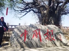 -大槐树寻根祭祖园