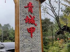 -青城甲(青城山店)