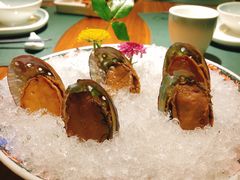 手工冰镇鲍鱼-木棉·醉心粤味(COCO Park店)