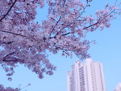 -静安雕塑公园