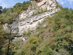 -黎坪国家森林公园