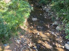 -深圳仙湖植物园