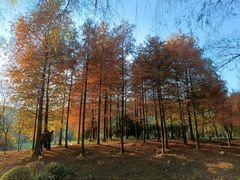 -宝界山林公园