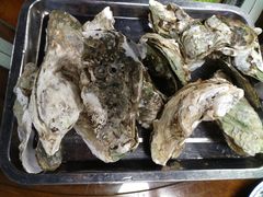 -蚝得喜海鲜(东城店)