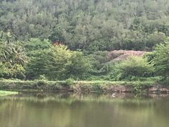 -九毛九西北菜(大东海店)