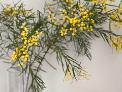 -厦门国家会计学院