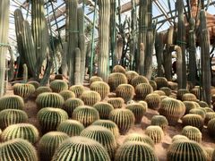 -南山植物园