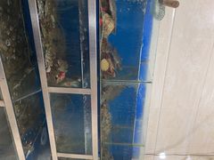 -宾朋海鲜特色美食餐厅·纯手工鲅鱼水饺(兴海路店)