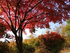 -宝界山林公园