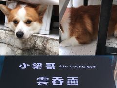 -小梁哥云吞面(黄贝岭店)