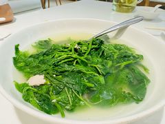 -至潮餐厅精致粤菜·活鲈鱼·走地鸡(珠江新城店)