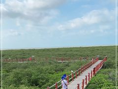 -北海金海湾红树林生态旅游区
