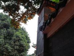 -晓港公园