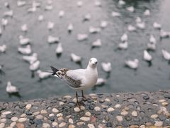 -捞渔河湿地公园