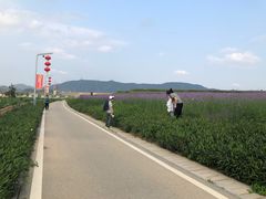 -光明小镇欢乐田园