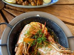 -TOMATITO(无限极荟店)