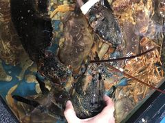 -盒马鲜生(皇庭广场店)