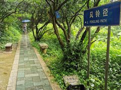 -梧桐山风景名胜区