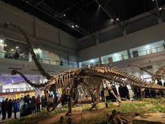 -自贡恐龙博物馆