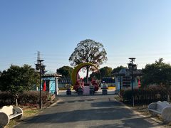 -嬉乐湾休闲旅游区