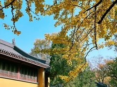 -灵谷景区