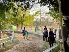 -盈香心动乐园