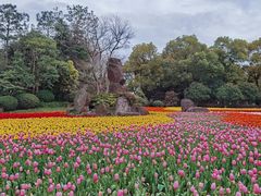 -上海鲜花港