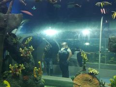 -鱼酷活鱼烤鱼(南京水游城店)