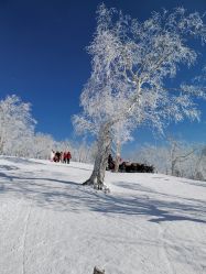 -大秃顶子山