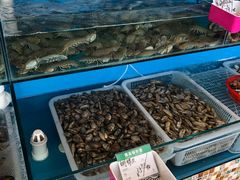 -港畔赶海蒸汽海鲜烧烤自助(仙螺岛店)