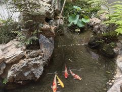 -小榄公饭店·岭南庭院餐厅(民安北路店)